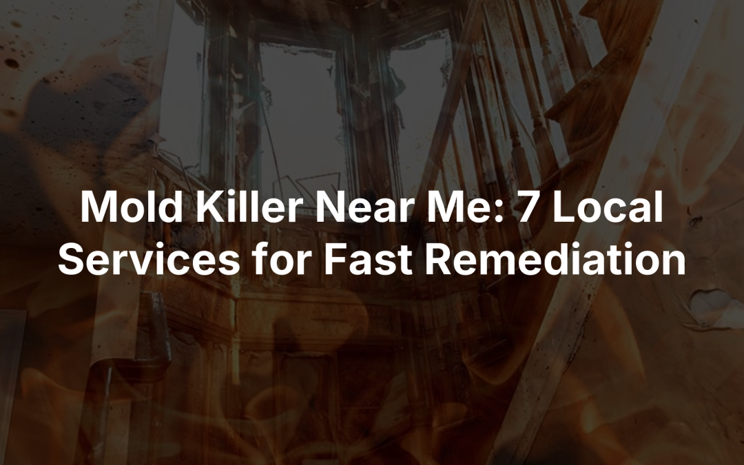 Mold Killer Near Me: 7 Local Services for Fast Remediation